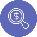 Dollar sign in magnifying glass icon